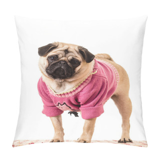 Personality  Girl Pug Dog In Pink Sweater Pillow Covers