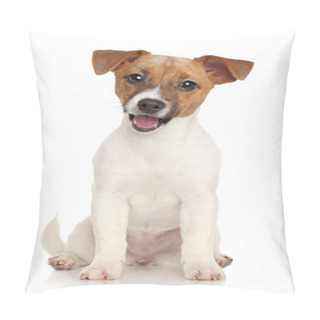 Personality  Jack Russell Terrier Puppy. Portrait On White Background Pillow Covers