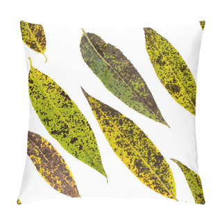 Personality  Seamless Pattern With Autumn Willow Leaves. Natural Background, Texture. Pillow Covers