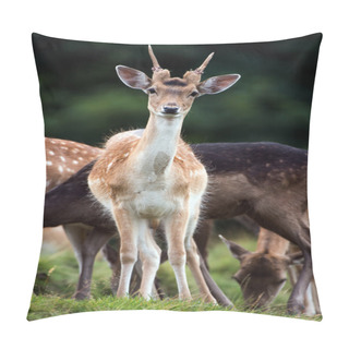 Personality  Fallow Deer Pillow Covers