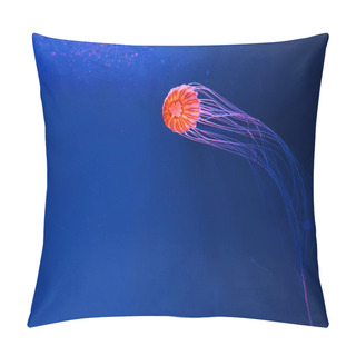Personality  Japanese Sea Nettle Underwater On Blue Background Pillow Covers