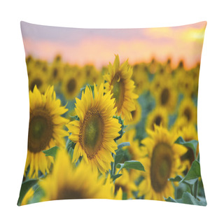 Personality  Field Of Sunflowers Pillow Covers
