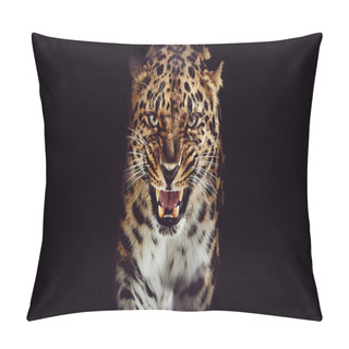 Personality  Leopard Growls, Isolated Portrait On Black Background Pillow Covers