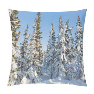 Personality  Beautiful Winter Landscape. Pillow Covers