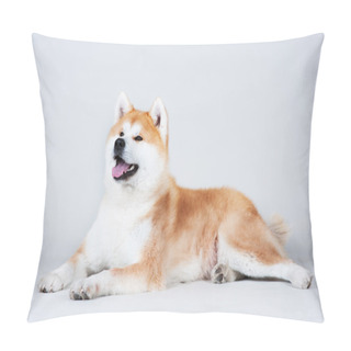 Personality  Akta-inu Dog Pillow Covers