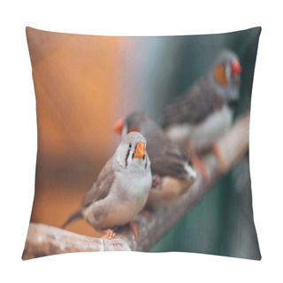 Personality  Selective Focus Of Cute And Colorful Birds On Wooden Branch Pillow Covers
