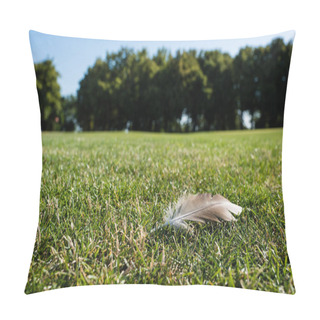 Personality  Selective Focus Of Feather On Green Grass In Park In Summertime  Pillow Covers