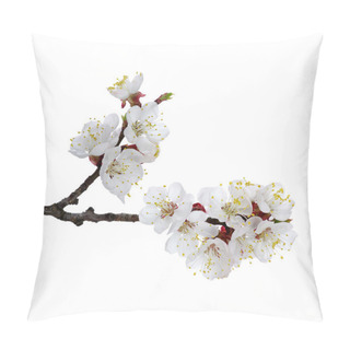 Personality   Pink Blossoms  Pillow Covers
