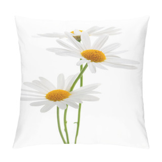 Personality  Daisies On White Background Pillow Covers
