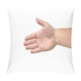 Personality  Hand, Human Palm Isolated On White Background Pillow Covers