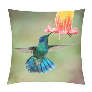 Personality  Colibri Thalassinus, Mexican Violetear The Hummingbird Is Hovering And Drinking The Nectar From The Beautiful Flower In The Rain Forest. Nice Colorful Background Pillow Covers