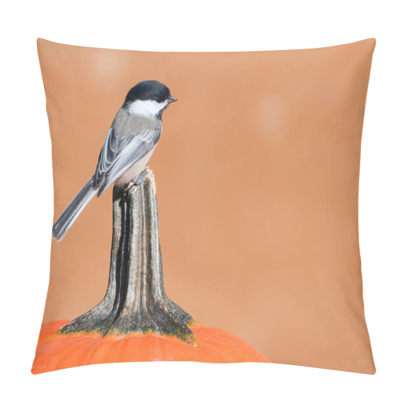 Personality  Pretty Chickadee Perched On A Pumpkin. Pillow Covers