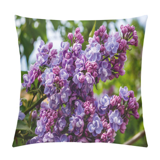 Personality  Lilac Branches On The Background Of The Park Or Garden. Spring Branches Of Blossoming Lilac Pillow Covers