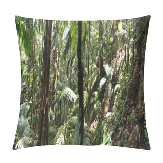 Personality  Lush Green Trees And Plants Of A Tropical Jungle Pillow Covers