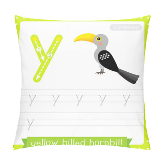 Personality  Letter Y Lowercase Cute Children Colorful Zoo And Animals ABC Alphabet Tracing Practice Worksheet Of Yellow-Billed Hornbill Bird For Kids Learning English Vocabulary And Handwriting Vector Illustration. Pillow Covers