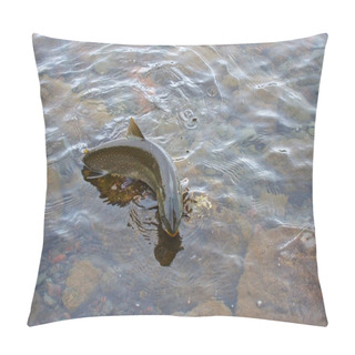 Personality  Char Over Water Pillow Covers