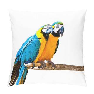 Personality  The Couple Of Beautiful Macaws Isolated On White Background Pillow Covers