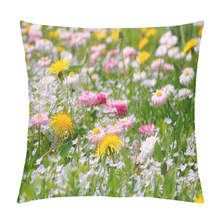Personality  Summer Meadow With Daisy And Dandelion Flowers Pillow Covers