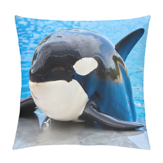 Personality  Kill Whale Pillow Covers