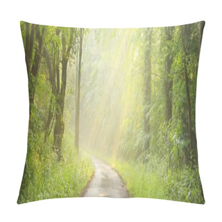 Personality  Panoramic View Of Majestic Green Deciduous And Pine Forest In A Morning Fog. Tree Silhouettes. Sun Rays, Pure Sunlight. Atmospheric Dreamlike Summer Landscape. Nature, Ecology, Fantasy, Fairytale Pillow Covers
