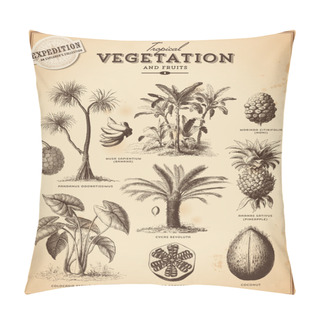 Personality  Tropical Plants And Exotic Fruits Pillow Covers