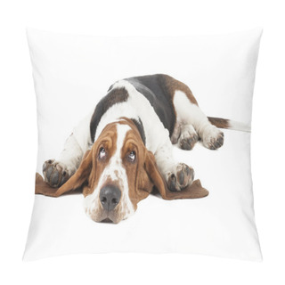 Personality  Basset Hound Pillow Covers