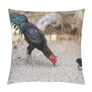 Personality  The Gamecocks Were Pecking And Eating Food. Pillow Covers