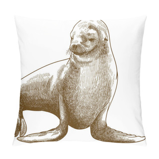Personality  Engraving Antique Illustration Of Fur Seal Pillow Covers