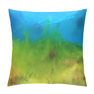 Personality  Marine Algae On The Depth Of The Ocean Pillow Covers
