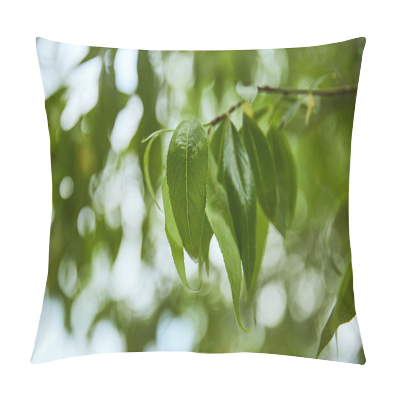 Personality  Selective focus of trees in forest with green leaves on branches pillow covers