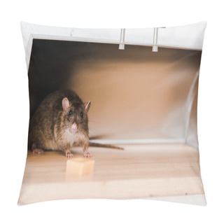 Personality  Selective Focus Of Little Mouse In Bread Box Near Cube Of Cheese In Kitchen  Pillow Covers