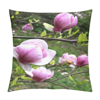 Personality  Magnolia Blossom. Flowering Gardens Pillow Covers