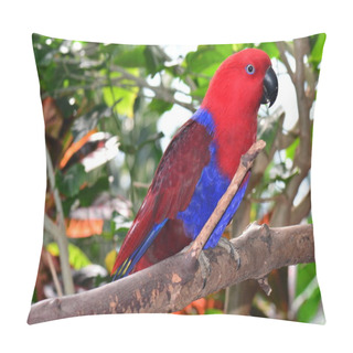Personality  An Eclectus Parrot Portrait. Pillow Covers