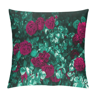 Personality  Blooming Roses In Beautiful Flower Garden As Floral Background Pillow Covers