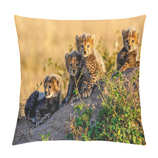 Personality  Cheetah In Masai Mara National Reserve Pillow Covers