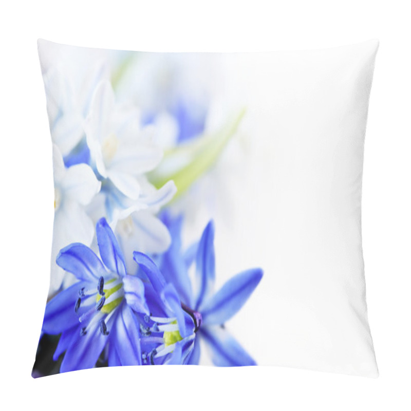 Personality  Spring flowers background pillow covers