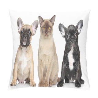 Personality  Cat And Dog Puppies On A White Background Pillow Covers