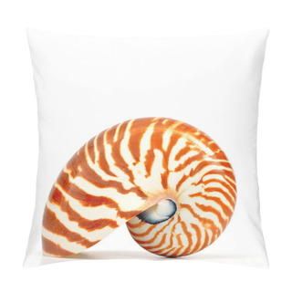 Personality  Nautilus Shell Isolated On White Background Pillow Covers