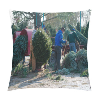 Personality  Working At A Christmas Tree Farm Pillow Covers