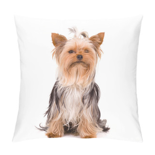 Personality  Little Dog Pillow Covers