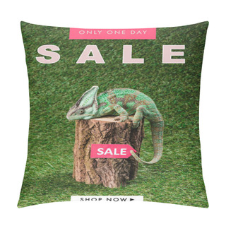 Personality  Side View Of Beautiful Bright Green Chameleon Sitting On Stump With Sale Sign Pillow Covers