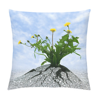 Personality  Never Give Up Pillow Covers