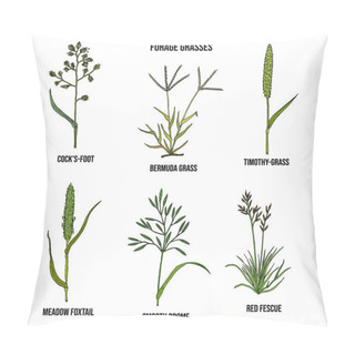 Personality  Forage Grasses Vector Set Pillow Covers