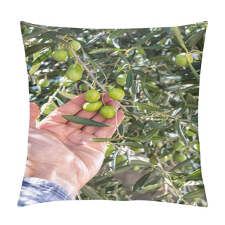 Personality  Caucasian Farmer Checks The Unripe Olives. Agriculture. Pillow Covers