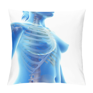 Personality  Rendered Illustration Of The Skeletal Thorax Pillow Covers