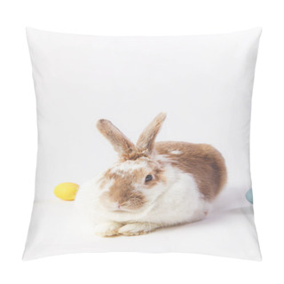 Personality  Painted In Different Colors Eggs And Bunny, Easter Concept Pillow Covers