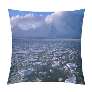 Personality  Antarctica Pillow Covers