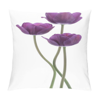 Personality  Tulip Flowers Pillow Covers