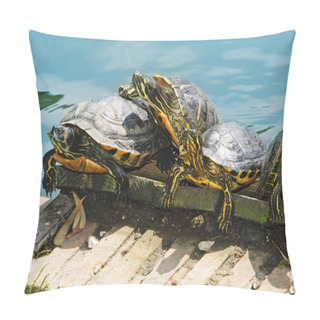 Personality  Four Turtles Pillow Covers