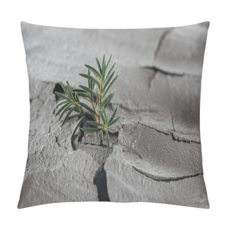 Personality  Selective Focus Of Young Green Plants On Barren Ground Surface, Global Warming Concept Pillow Covers